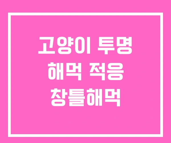 고양이 투명 해먹 적응 창틀해먹