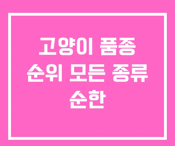 고양이 품종 순위 모든 종류 순한