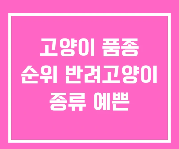 고양이 품종 순위 반려고양이 종류 예쁜