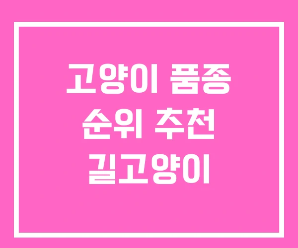 고양이 품종 순위 추천 길고양이