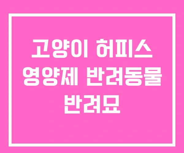 고양이 허피스 영양제 반려동물 반려묘