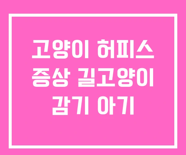 고양이 허피스 증상 길고양이 감기 아기