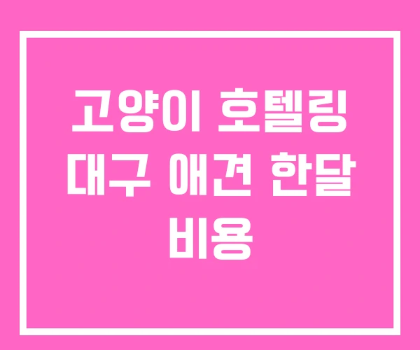 고양이 호텔링 대구 애견 한달 비용