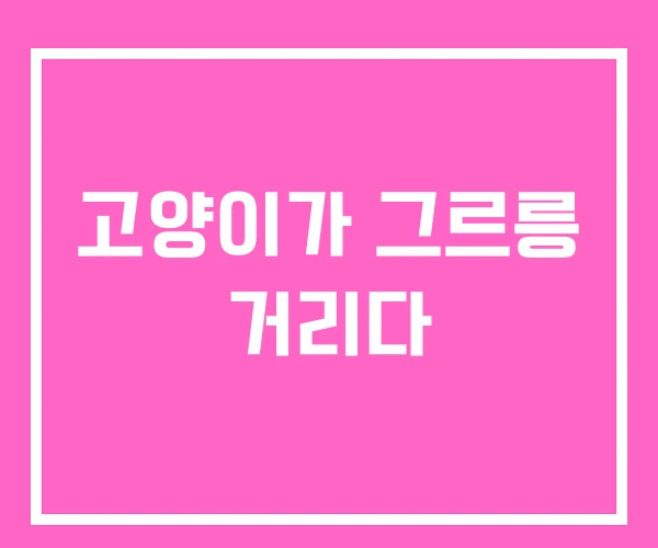 고양이가 그르릉 거리다