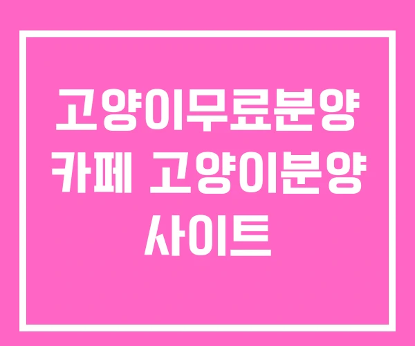 고양이무료분양 카페 고양이분양 사이트