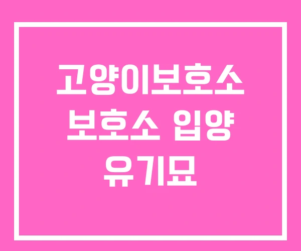 고양이보호소 보호소 입양 유기묘