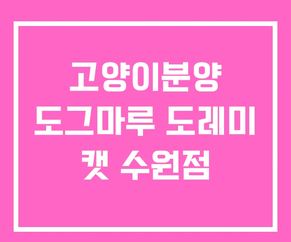 고양이분양 도그마루 도레미 캣 수원점