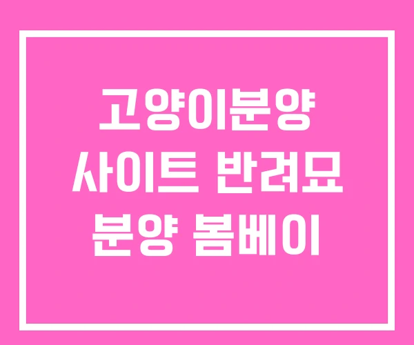 고양이분양 사이트 반려묘 분양 봄베이