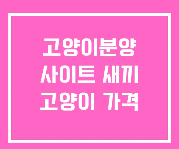 고양이분양 사이트 새끼 고양이 가격