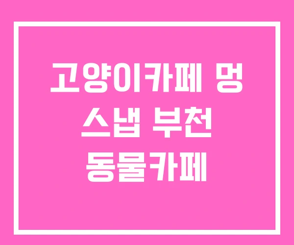 고양이카페 멍 스냅 부천 동물카페