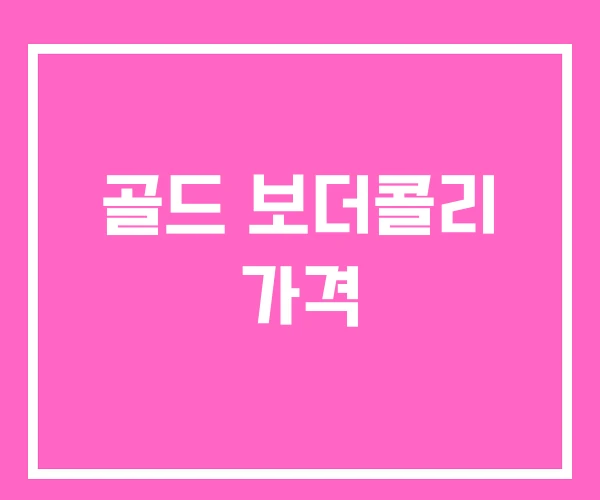 골드 보더콜리 가격