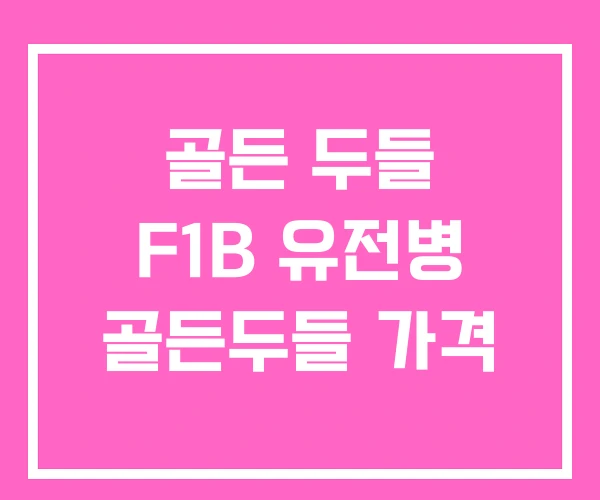 골든 두들 F1B 유전병 골든두들 가격 골든 두들 F1B 유전병 골든두들 가격