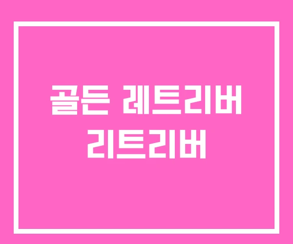 골든 레트리버 리트리버 골든 레트리버 리트리버