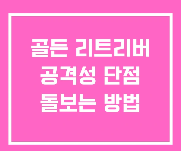 골든 리트리버 공격성 단점 돌보는 방법