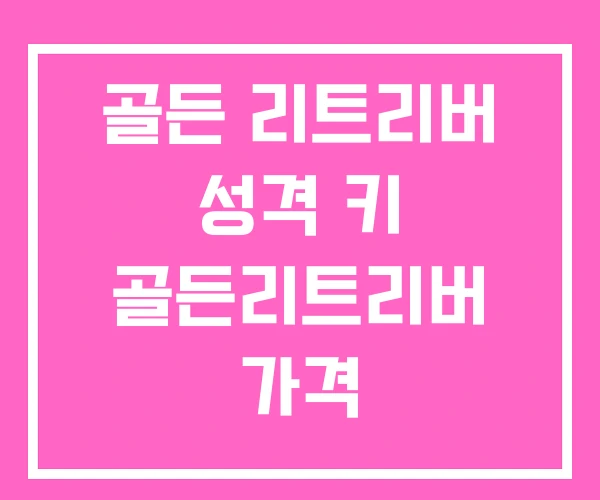 골든 리트리버 성격 키 골든리트리버 가격