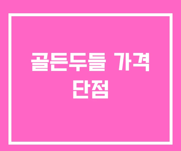 골든두들 가격 단점 골든두들 가격 단점