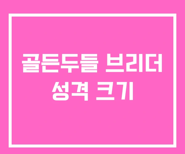 골든두들 브리더 성격 크기 골든두들 브리더 성격 크기