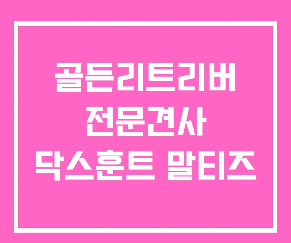 골든리트리버 전문견사 닥스훈트 말티즈 골든리트리버 전문견사 닥스훈트 말티즈