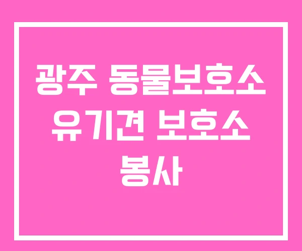 광주 동물보호소 유기견 보호소 봉사 광주 동물보호소 유기견 보호소 봉사