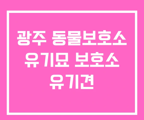 광주 동물보호소 유기묘 보호소 유기견