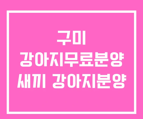 구미 강아지무료분양 새끼 강아지분양