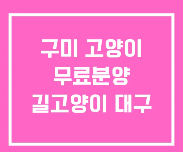 구미 고양이 무료분양 길고양이 대구