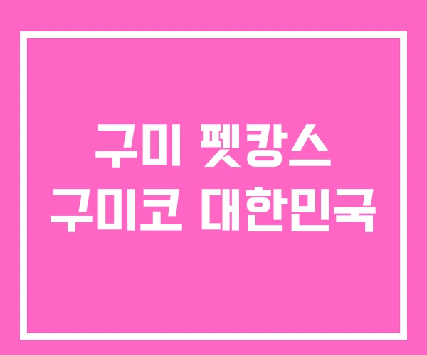 구미 펫캉스 구미코 대한민국 구미 펫캉스 구미코 대한민국