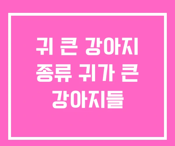 귀 큰 강아지 종류 귀가 큰 강아지들 귀 큰 강아지 종류 귀가 큰 강아지들