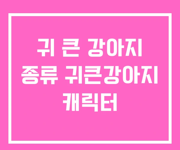 귀 큰 강아지 종류 귀큰강아지 캐릭터