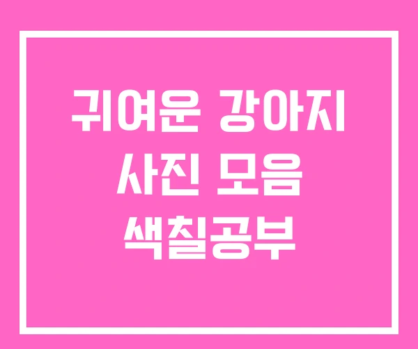 귀여운 강아지 사진 모음 색칠공부