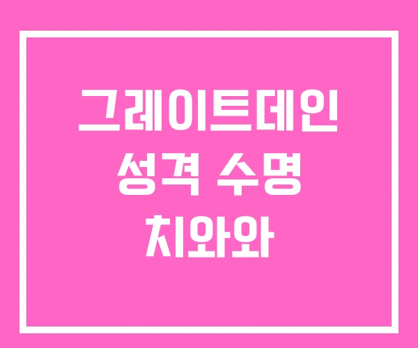 그레이트데인 성격 수명 치와와