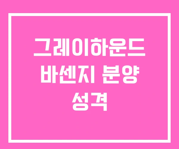 그레이하운드 바센지 분양 성격 그레이하운드 바센지 분양 성격