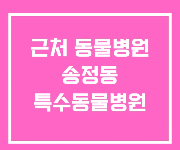 근처 동물병원 송정동 특수동물병원