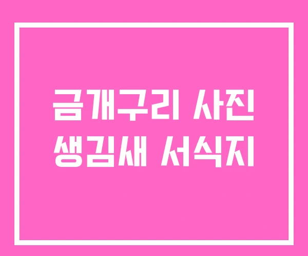 금개구리 사진 생김새 서식지