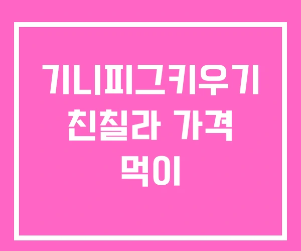 기니피그키우기 친칠라 가격 먹이 기니피그키우기 친칠라 가격 먹이