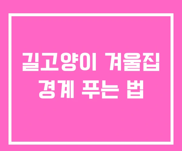 길고양이 겨울집 경계 푸는 법 길고양이 겨울집 경계 푸는 법