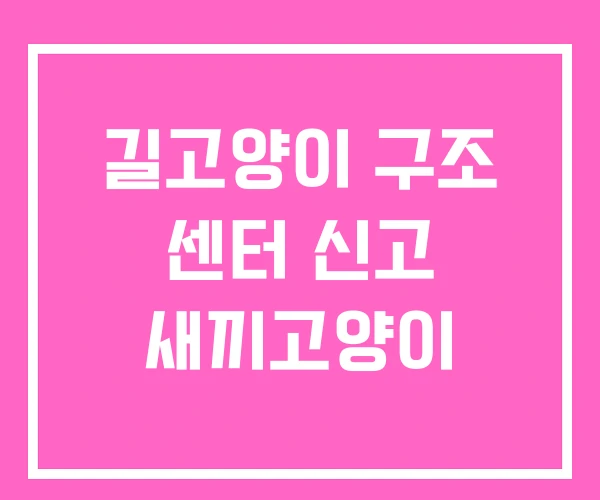 길고양이 구조 센터 신고 새끼고양이