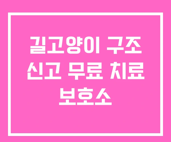 길고양이 구조 신고 무료 치료 보호소 길고양이 구조 신고 무료 치료 보호소