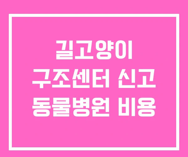 길고양이 구조센터 신고 동물병원 비용 길고양이 구조센터 신고 동물병원 비용
