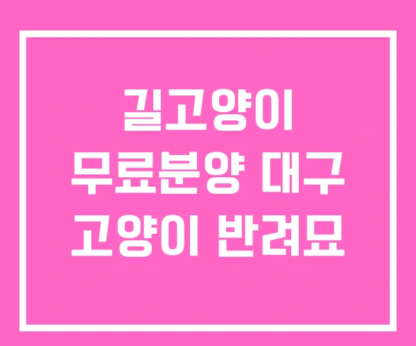 길고양이 무료분양 대구 고양이 반려묘