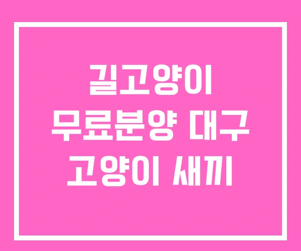 길고양이 무료분양 대구 고양이 새끼