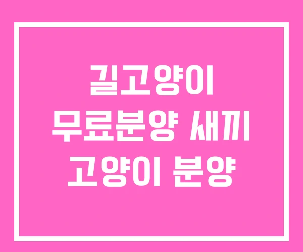 길고양이 무료분양 새끼 고양이 분양