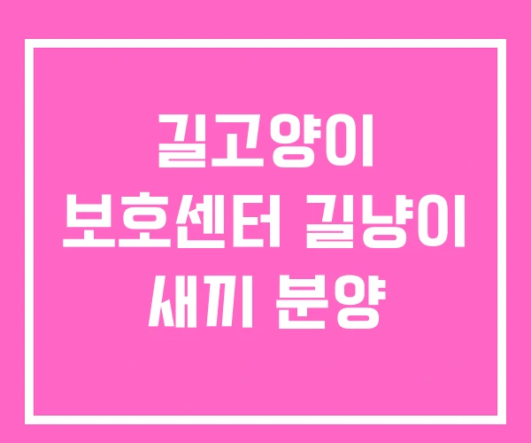 길고양이 보호센터 길냥이 새끼 분양 길고양이 보호센터 길냥이 새끼 분양