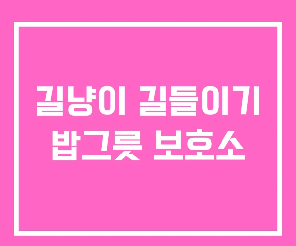 길냥이 길들이기 밥그릇 보호소 길냥이 길들이기 밥그릇 보호소
