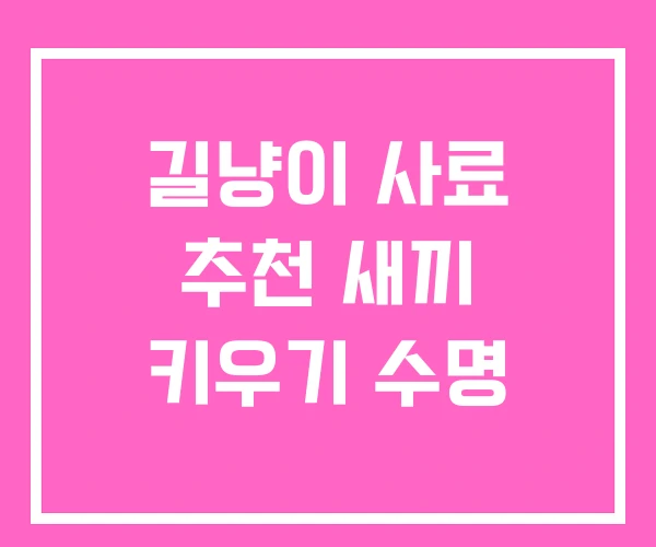 길냥이 사료 추천 새끼 키우기 수명 길냥이 사료 추천 새끼 키우기 수명