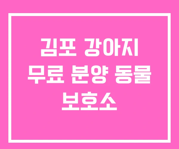 김포 강아지 무료 분양 동물 보호소 김포 강아지 무료 분양 동물 보호소
