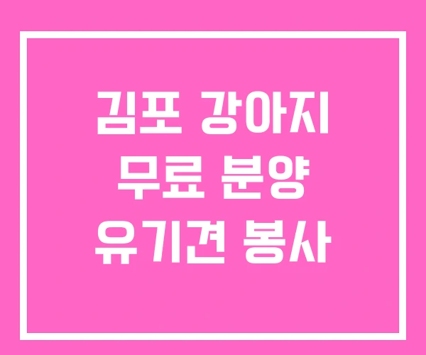 김포 강아지 무료 분양 유기견 봉사 김포 강아지 무료 분양 유기견 봉사