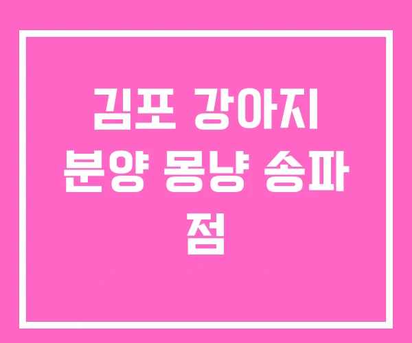 김포 강아지 분양 몽냥 송파 점 김포 강아지 분양 몽냥 송파 점