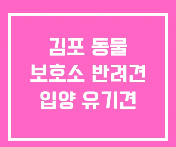 김포 동물 보호소 반려견 입양 유기견 김포 동물 보호소 반려견 입양 유기견