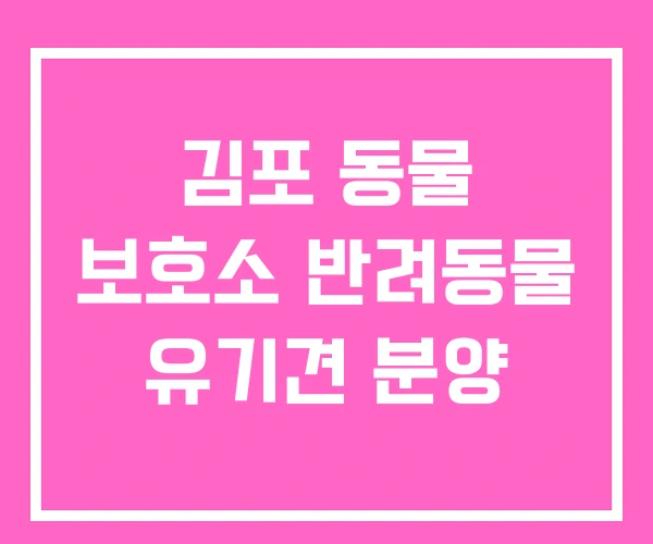 김포 동물 보호소 반려동물 유기견 분양 김포 동물 보호소 반려동물 유기견 분양